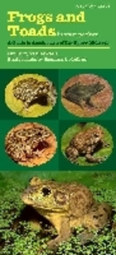 Frogs and Toads in Your Pocket: a Guide to Amphibians of the Upper Midwest (Bur Oak Guide) - Terry Vandewalle - Books - University Of Iowa Press - 9781609380595 - November 1, 2011