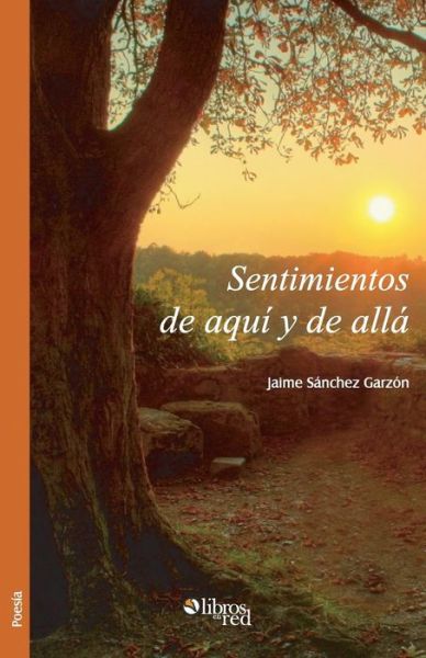 Cover for Jaime Sanchez Garzon · Sentimientos De Aqui Y De Alla (Paperback Book) [Spanish edition] (2014)