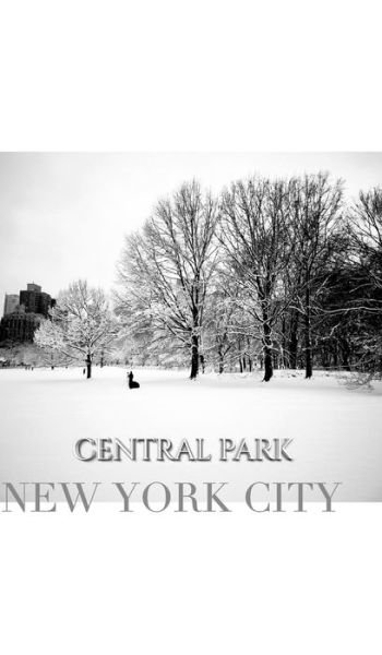 Cover for Sir Michael Huhn · Central Park New York City Winter Wonderland Blank Journal (Hardcover Book) (2020)