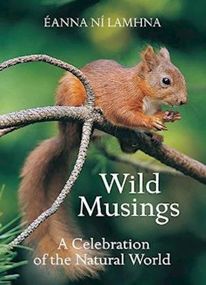 Cover for Eanna Ni Lamhna · Wild Musings: A Celebration of the Natural World (Paperback Book) (2023)