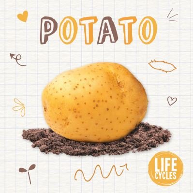 Potato - Life Cycles - Kirsty Holmes - Kirjat - BookLife Publishing - 9781839271595 - tiistai 1. kesäkuuta 2021