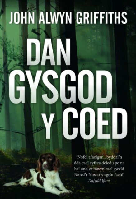 Cover for John Alwyn Griffiths · Dan Gysgod y Coed (Pocketbok) (2022)