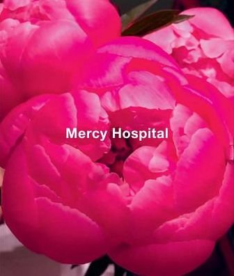Cover for Ida Applebroog · Ida Applebroog: Mercy Hospital (Gebundenes Buch) (2017)