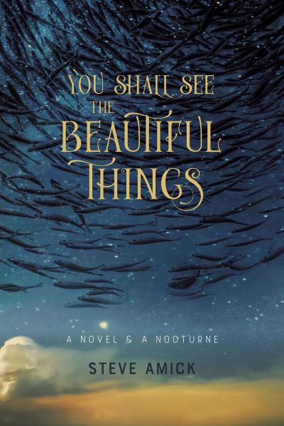 Cover for Steve Amick · You Shall See the Beautiful Things – A Novel &amp; A Nocturne (Taschenbuch) (2023)