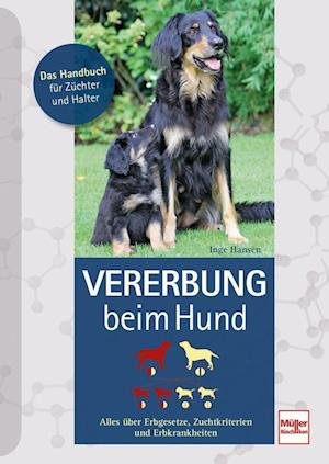 Cover for Inge Hansen · Vererbung beim Hund (Bog) (2022)