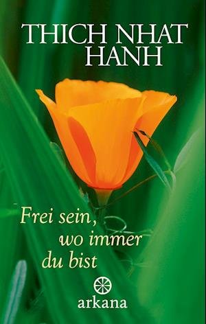 Cover for Nhat Hanh Thich · Frei Sein, Wo Immer Du Bist (Bok)
