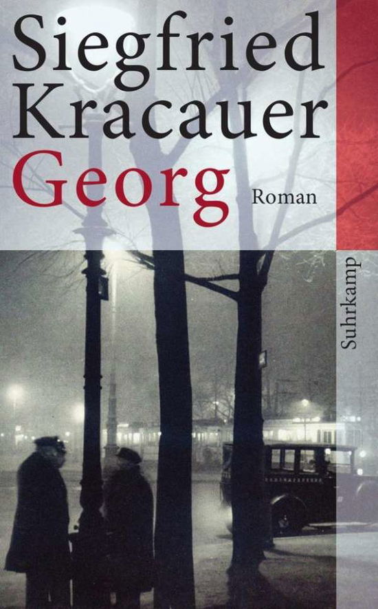 Cover for Siegfried Kracauer · Georg (Paperback Book) (2013)