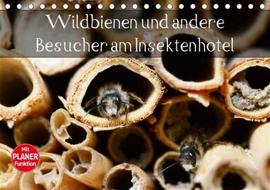 Cover for Frost · Wildbienen und andere Besucher am (Bog)