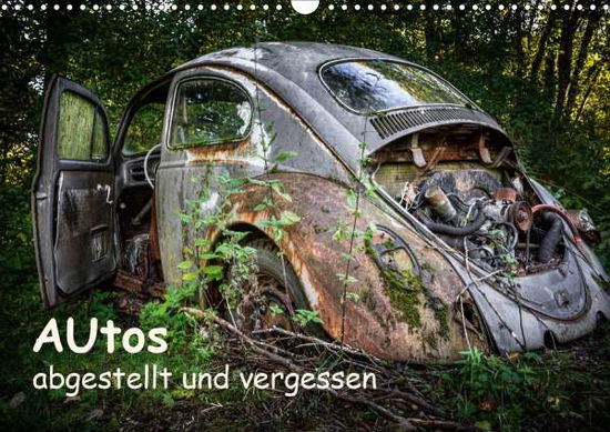 Cover for Rosin · Autos, abgestellt und vergessen ( (Book)