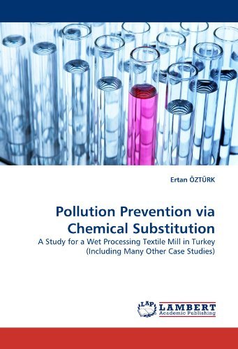 Cover for Ertan Öztürk · Pollution Prevention Via Chemical Substitution: a Study for a Wet Processing Textile Mill in Turkey (Including Many Other Case Studies) (Paperback Book) (2010)