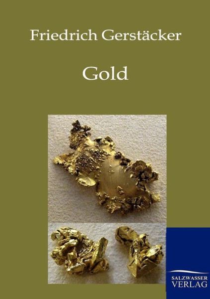 Gold - Friedrich Gerstacker - Books - Salzwasser-Verlag Gmbh - 9783861959595 - October 14, 2011