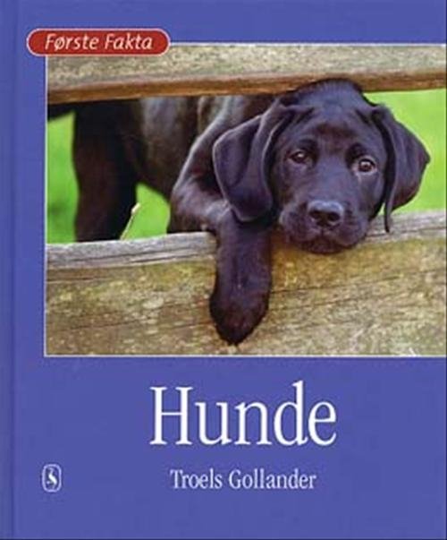 Første Fakta: Hunde - Troels Gollander - Bücher - Gyldendal - 9788702017595 - 10. September 2003
