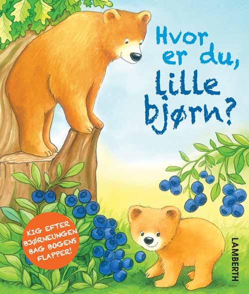 Cover for Florian Ahle · Hvor er du, lille bjørn? (Cardboard Book) [1e uitgave] (2016)