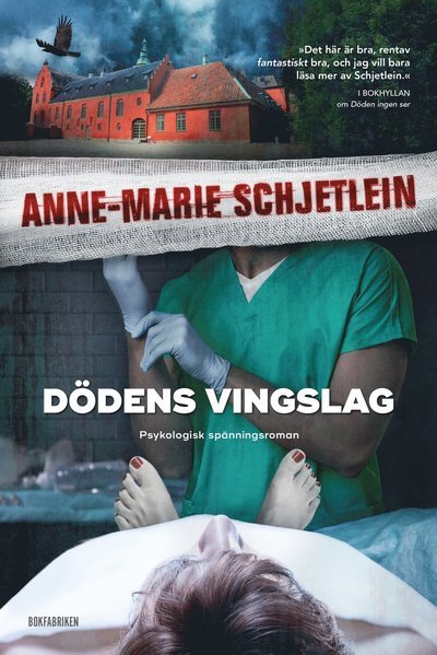 Cover for Anne-Marie Schjetlein · Andreas Nylund: Dödens vingslag (Bound Book) (2021)
