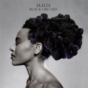 Black Orchid - Malia - Musikk - EMARCY - 0602527860596 - 25. juni 1990