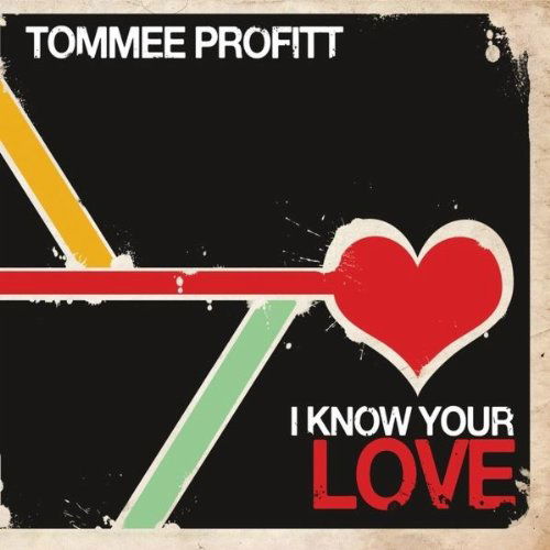 Cover for Tommee Profitt · I Know Your Love (CD) (2010)