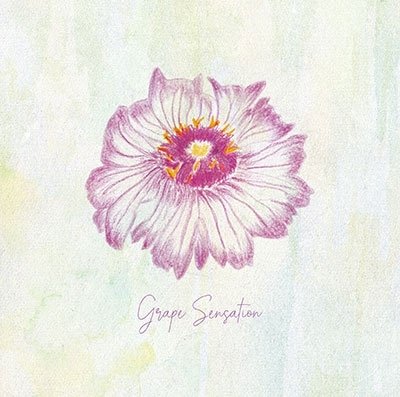 Cover for Grape · Grape Sensation (CD) [Japan Import edition] (2023)