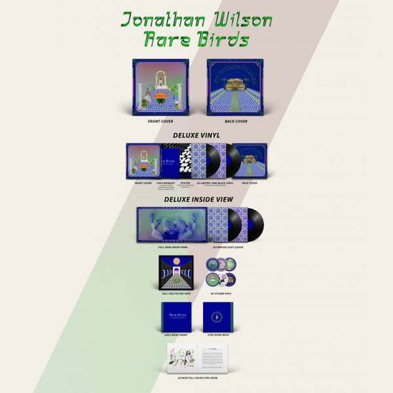 Rare Birds - Jonathan Wilson - Muziek - BELLA UNION - 5414940007596 - 2 maart 2018