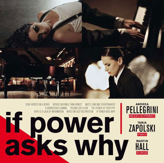 If Power Asks Why - Martin Hall, Andrea Pellegrini & Tanja Zapolski - Muzyka - VME - 5709498211596 - 1 października 2012