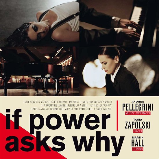 Martin Hall, Andrea Pellegrini & Tanja Zapolski · If Power Asks Why (LP) (2012)
