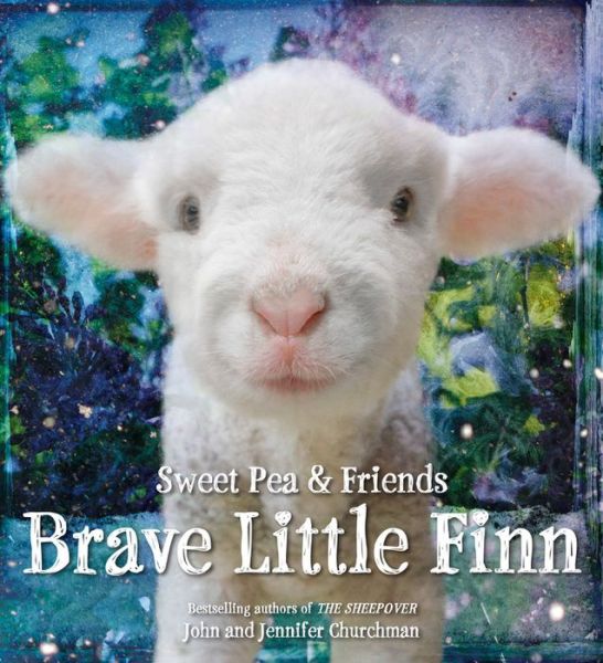 Cover for John Churchman · Brave Little Finn (Gebundenes Buch) (2016)