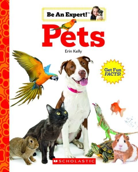 Cover for Erin Kelly · Pets (Be An Expert!) - Be an Expert! (Paperback Book) (2020)