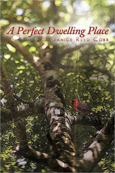 A Perfect Dwelling Place - Janice Reed Cobb - Books - WestBow Press A Division of Thomas Nelso - 9781449721596 - October 26, 2011