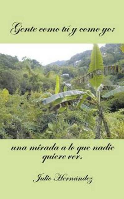 Gente Como Tu Y Como Yo: Una Mirada a Lo Que Nadie Quiere Ver. - Julio Hernandez - Books - Palibrio - 9781463354596 - March 26, 2013