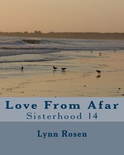 Cover for Lynn Rosen · Love From Afar (Pocketbok) (2018)