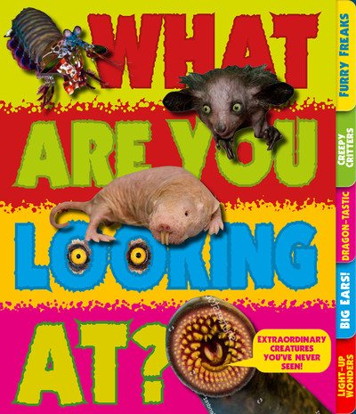 Cover for Sara Stanford · What Are You Looking At?: Extraordinary creatures you've never seen! (Pocketbok) (2019)
