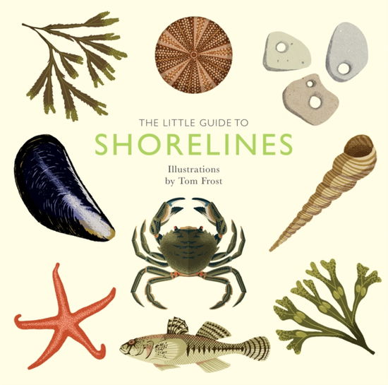 Cover for Alison Davies · The Little Guide to Shorelines - Little Guides (Hardcover Book) (2023)