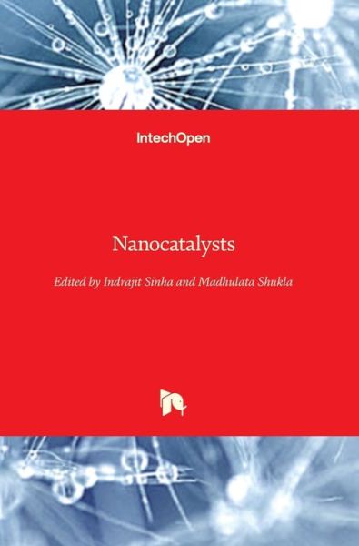 Cover for Indrajit Sinha · Nanocatalysts (Hardcover Book) (2019)