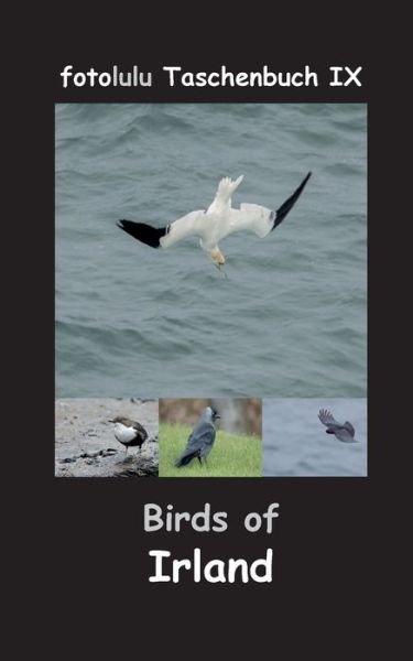Cover for Fotolulu · Birds of Irland (Bok) (2017)