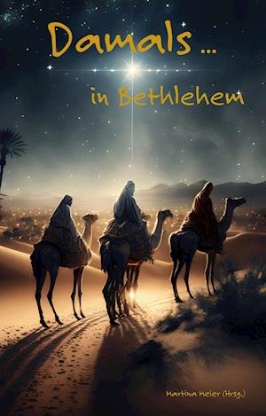 Cover for Martina Meier · Damals ... in Bethlehem (Bok) (2024)