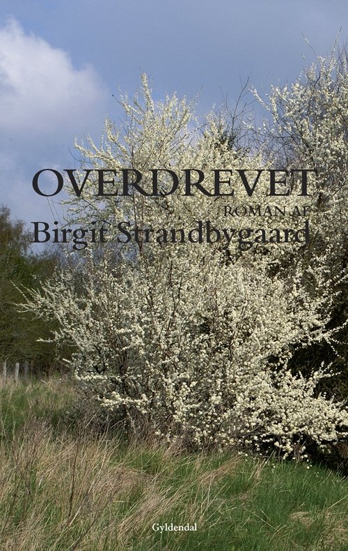 Cover for Birgit Strandbygaard · Overdrevet (Sewn Spine Book) [1er édition] (2008)