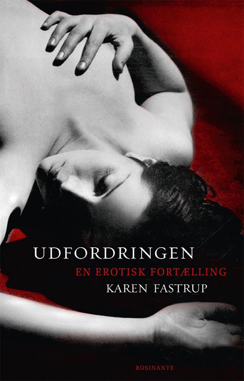 Cover for Karen Fastrup · Udfordringen (Sewn Spine Book) [1er édition] (2013)