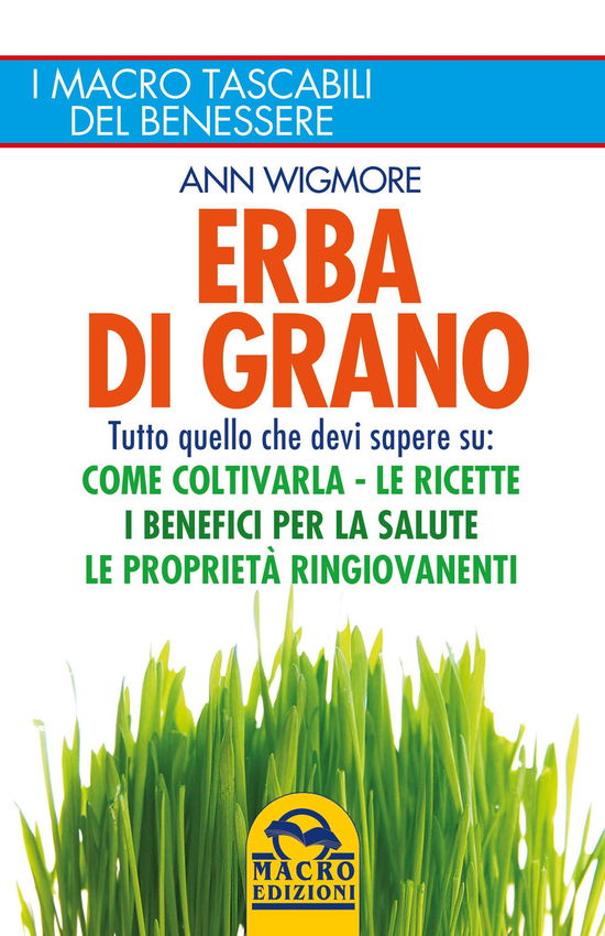 Cover for Ann Wigmore · Erba Di Grano. Tutto Quello Che Devi Sapere Su: Come Coltivarla, Le Ricette, I Benefici Per La Salute, Le Proprieta Ringiovanenti (Book)