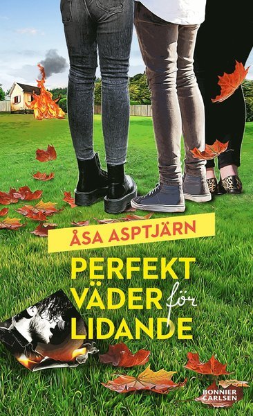 Cover for Åsa Asptjärn · Perfekt väder för lidande (Book) (2020)