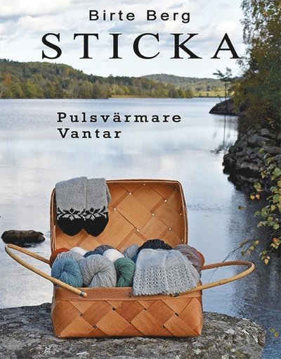 Cover for Birte Berg · Sticka : pulsvärmare, vantar (Book) (2021)