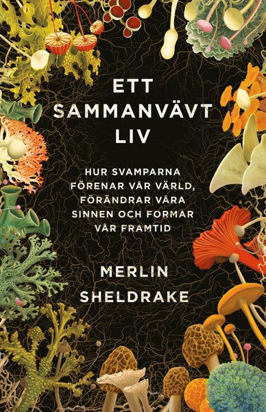 Ett sammanvävt liv : hur svamparna förenar vår värld, förändrar våra sinnen och formar vår framtid - Merlin Sheldrake - Bücher - Volante - 9789189043596 - 17. August 2021