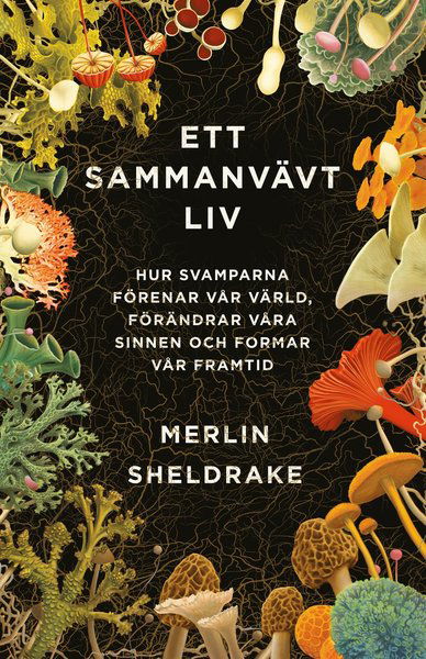 Cover for Merlin Sheldrake · Ett sammanvävt liv : hur svamparna förenar vår värld, förändrar våra sinnen och formar vår framtid (Gebundesens Buch) (2021)