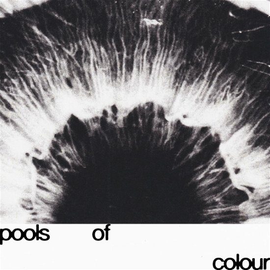 Cover for Junodream · Pools Of Colour (LP) (2024)