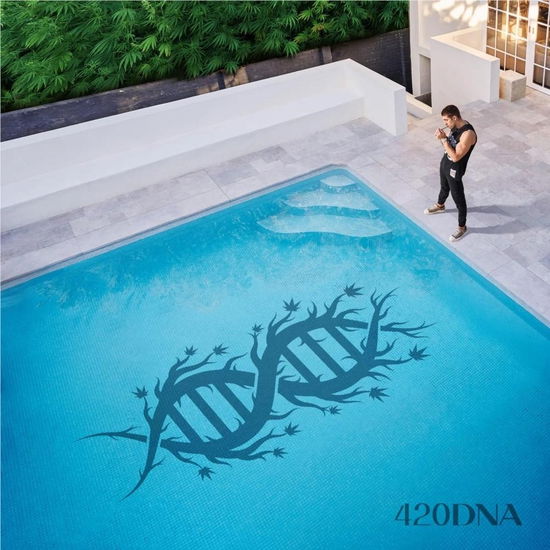 Cover for Chillinit · 420dna (CD) (2023)