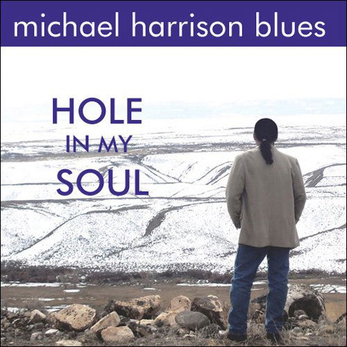 Hole in My Soul - Michael Harrison - Music - Dark Star Recording Llc - 0700261300597 - June 22, 2010