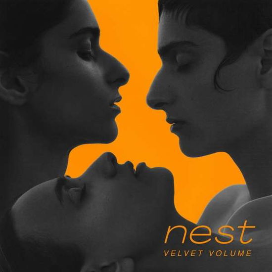 Velvet Volume · Nest (LP) (2022)