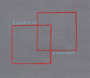 Cardinal - Pinegrove - Música - RUN FOR COVER - 0811774023597 - 26 de febrero de 2016