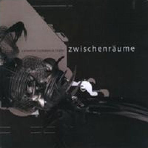 Zwischenraume - Hans Peter Salentin - Musiikki - CD Baby - 0884502253597 - tiistai 1. syyskuuta 2009