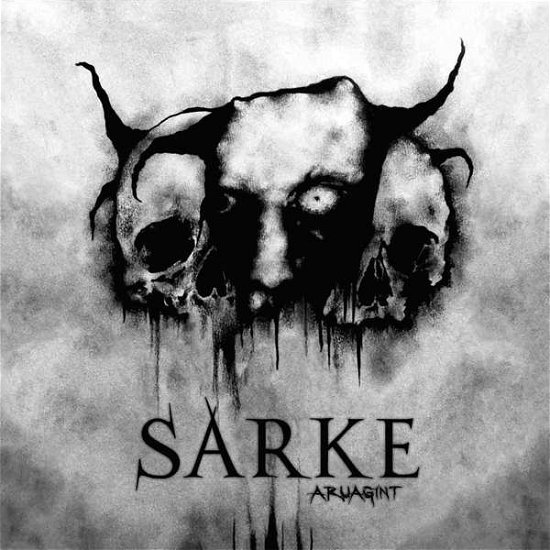 Cover for Sarke · Aruagint (LP) (2016)
