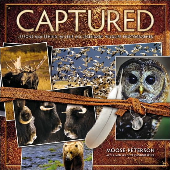 Cover for Moose · Captured (Book) (2010)