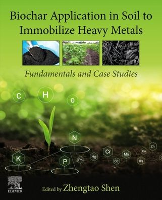 Cover for Zhengtao Shen · Biochar Application in Soil to Immobilize Heavy Metals: Fundamentals and Case Studies (Paperback Book) (2023)